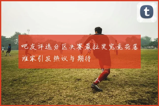 吧友评选分区决赛最拉奖究竟花落谁家引发热议与期待