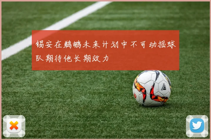 锡安在鹈鹕未来计划中不可动摇球队期待他长期效力
